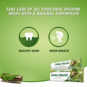 Dabur Herbal Neem Toothpaste 150 g