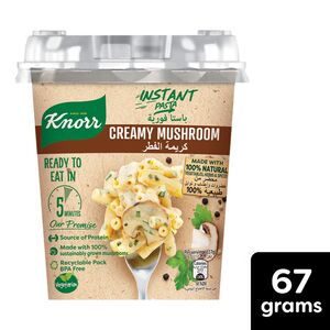 Knorr Creamy Mushroom Instant Pasta 67 g