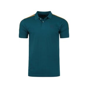Peter England Mens Half Sleeve Polo T-Shirt, PCKPSRGF450469, Dark Green, XXL