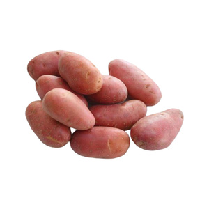 Fresh Potato Red, Pakistan, 500 g