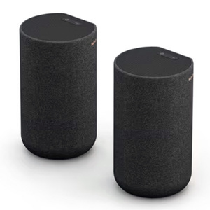 Sony 180 W Additional Wireless Rear Speaker with Built-In Battery, SA-RS5