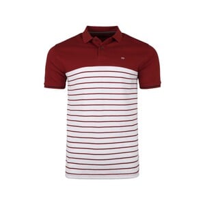 Peter England Mens Half Sleeve Polo T-Shirt, PCKPSRGF165008, Maroon, XXL