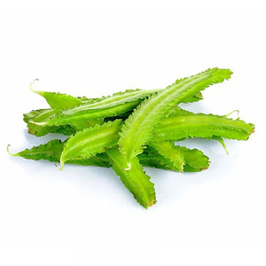 Dambola Green Bean Sri Lanka 250 g