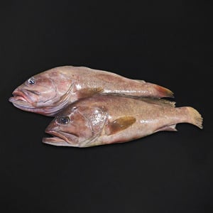 سمك هامور كبير 4.5 كجم