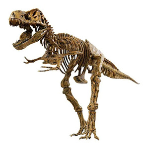 اديو تويز ديناصور تي ريكس هيكل عظمي، ATEDVT026