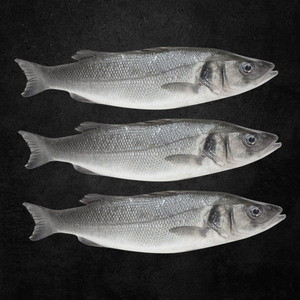 Qatar Farmed Sea Bass 1 kg