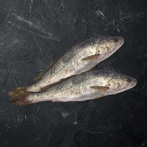 اشتري Egyptian Loth Fish Medium 1 kg Online at Best Price | Whole Fish | Lulu Kuwait في الكويت