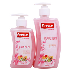 Sanita Hand Wash Assorted 500 ml + 250 ml