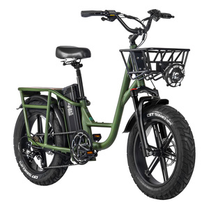 Fiido T1 Electric Bike Cargo, Green