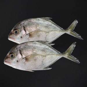 Jest Trevally Big Whole Cleaned 3.5 kg