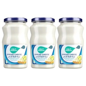 Mazoon Smooth and Creamy Cheese Spread Value Pack 3 x 240 g