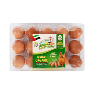 اشتري قم بشراء Abu Dhabi Poultry Farm Organic Free Range Brown Eggs 15 pcs Online at Best Price من الموقع - من لولو هايبر ماركت Organic Eggs في الامارات
