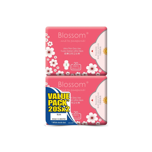 Blossom Day Ultra Thin Wing Value Pack 2x20's