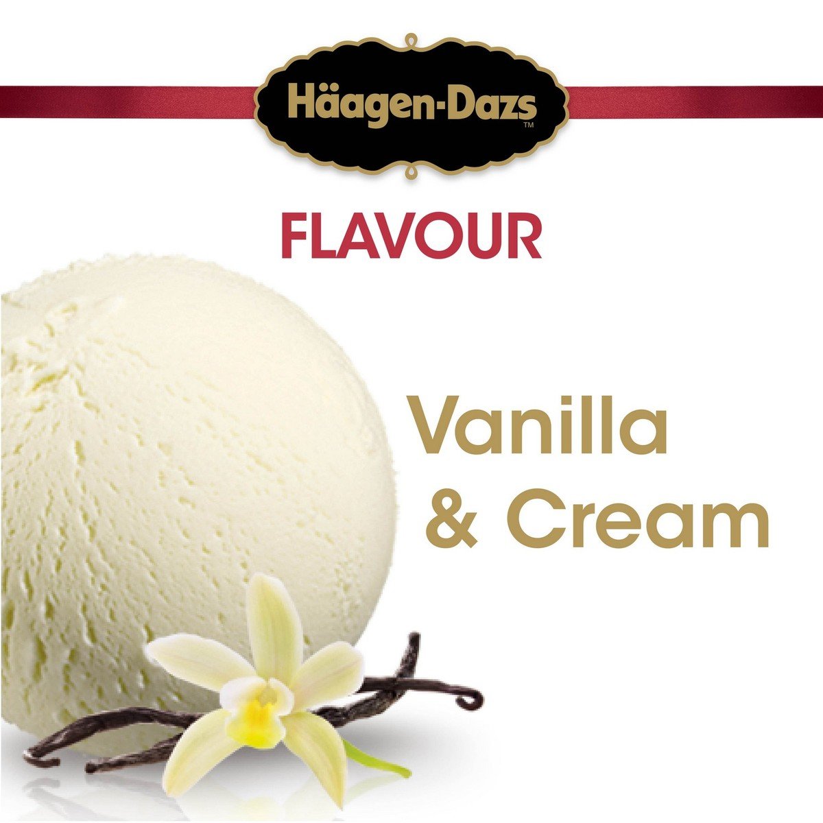 Haagen-Dazs Ice Cream Vanilla & Cream 500 ml