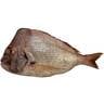 سمك كوفر كبير طازج 2.5 كجم