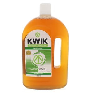 Kwik Antiseptic Liquid 750ml