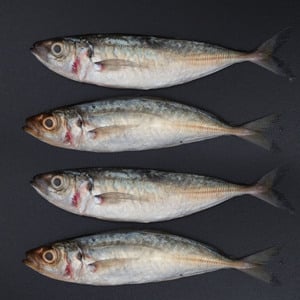 اشتري قم بشراء سمك سكاد جالونجونج ، 500 جرام Online at Best Price من الموقع - من لولو هايبر ماركت Whole Fish في الامارات