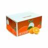 Orange Navel South Africa 1 Box