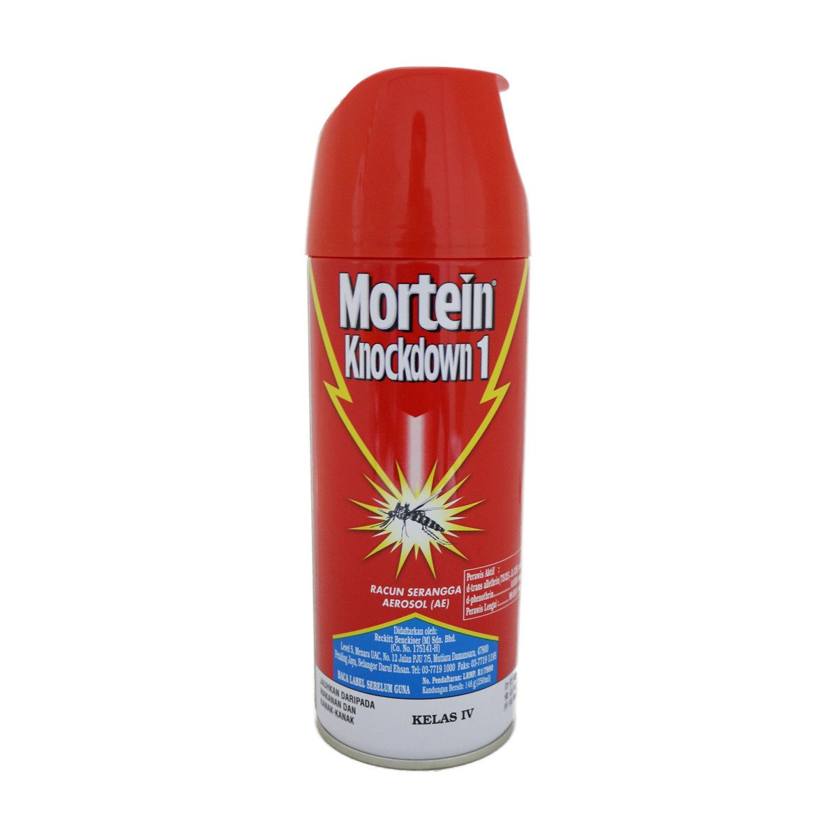Mortein AE Insect Killer 250ml