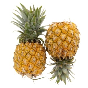 Baby Pineapple South Africa 1 pc