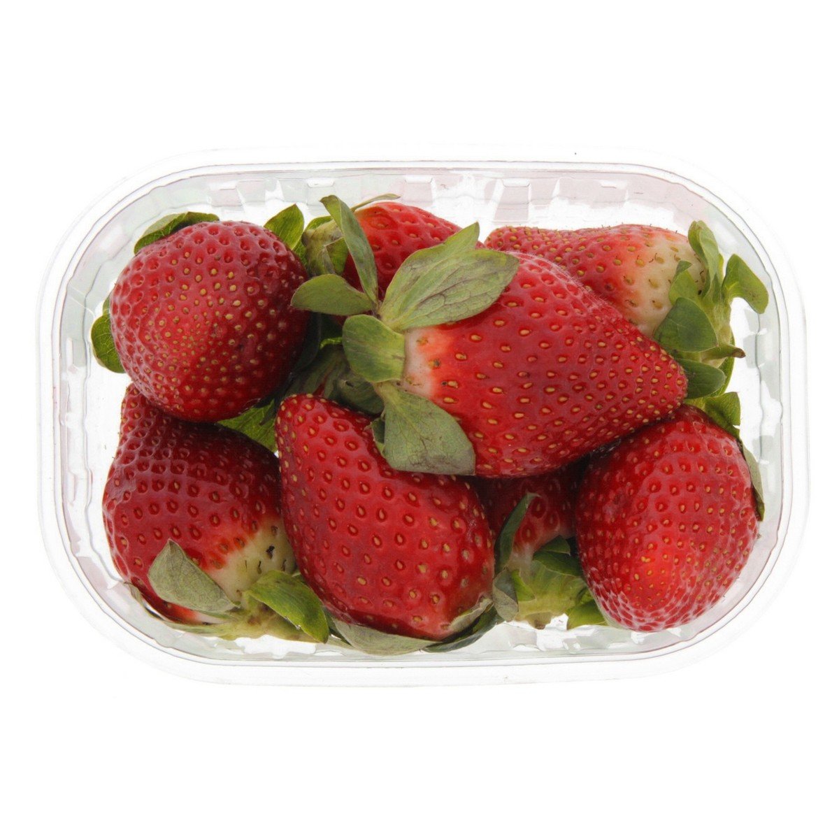 Strawberry Morocco 1 pkt