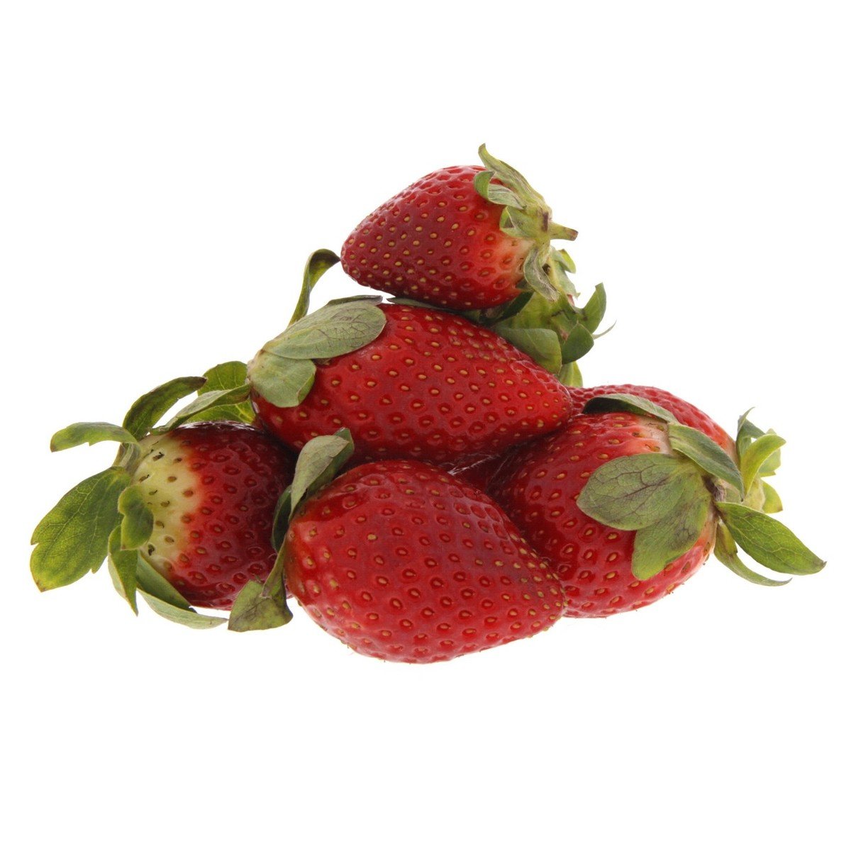 Strawberry Morocco 1 pkt
