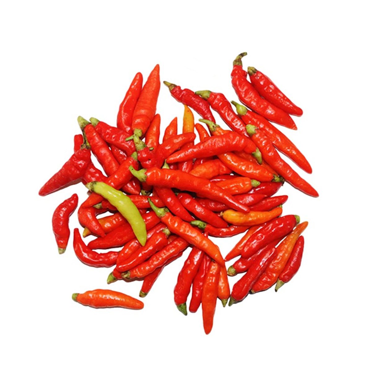 Chilli Red Small 300g Approx Weight