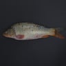 Katla Fish 1kg