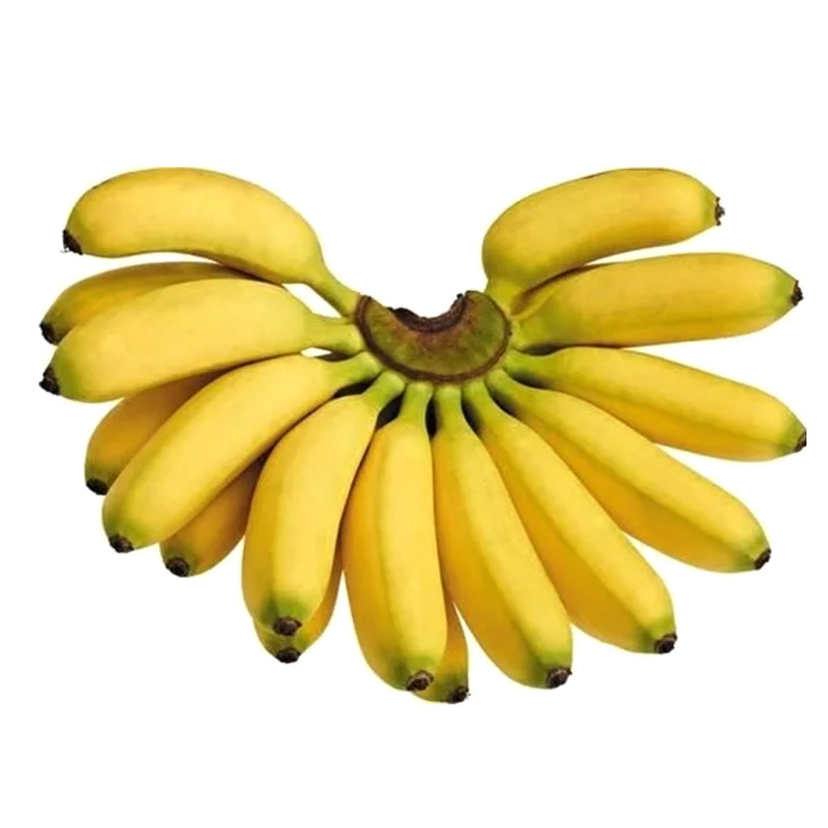 Banana Golden Kirana
