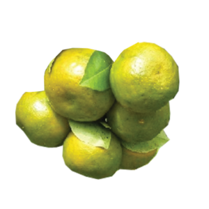 Citrus Banyuwangi