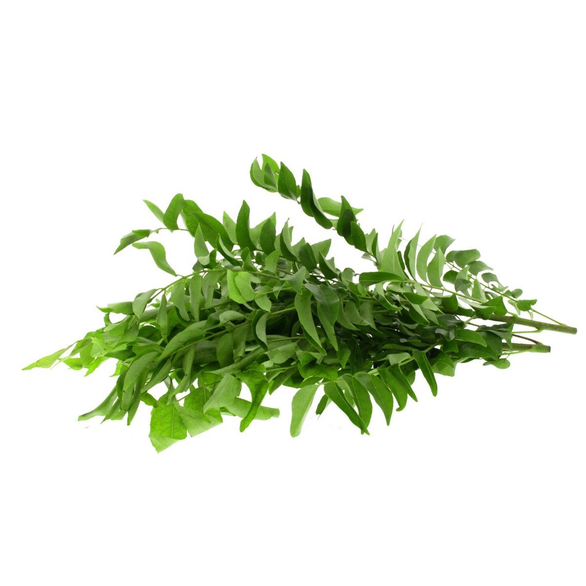 Buy Curry Leaves 1 Bunch Online at Best Price | Importd.Herbs/Leaves | Lulu KSA in Kuwait