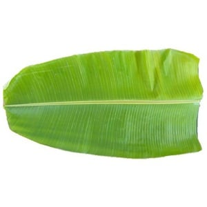 Banana Leaf India 1 pc