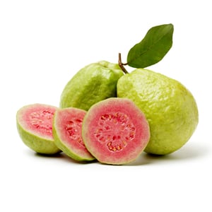 Guava Red Bogor