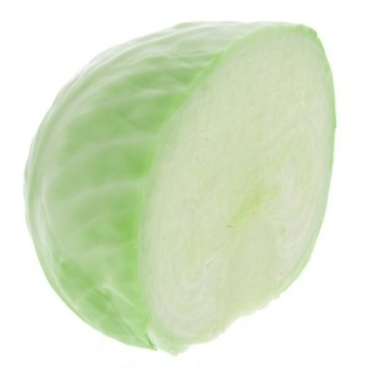 Cabbage White China 500g Approx Weight