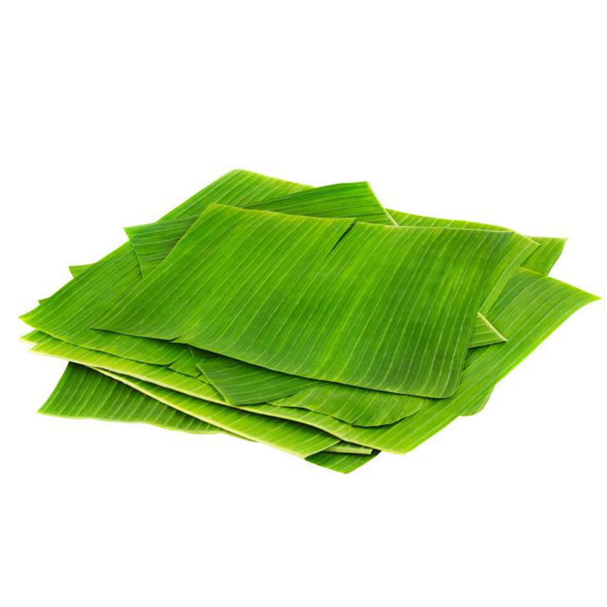 Banana Leaves 250g Approx. Weight