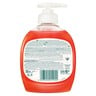 Palmolive Handwash Family Liquid Anti-Bacterial Hygiene Plus 300 ml