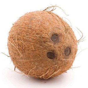 Buy Coconut Whole India 1 pc Online at Best Price | Freshly Nuts | Lulu UAE in UAE