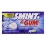 Smint & Gum Strong Mint Sugar Free 13.9 g