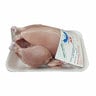 South Barka Farm Fresh Whole Chicken Skinless 700 g
