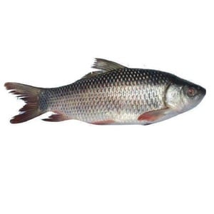 Rohu Fish 1kg