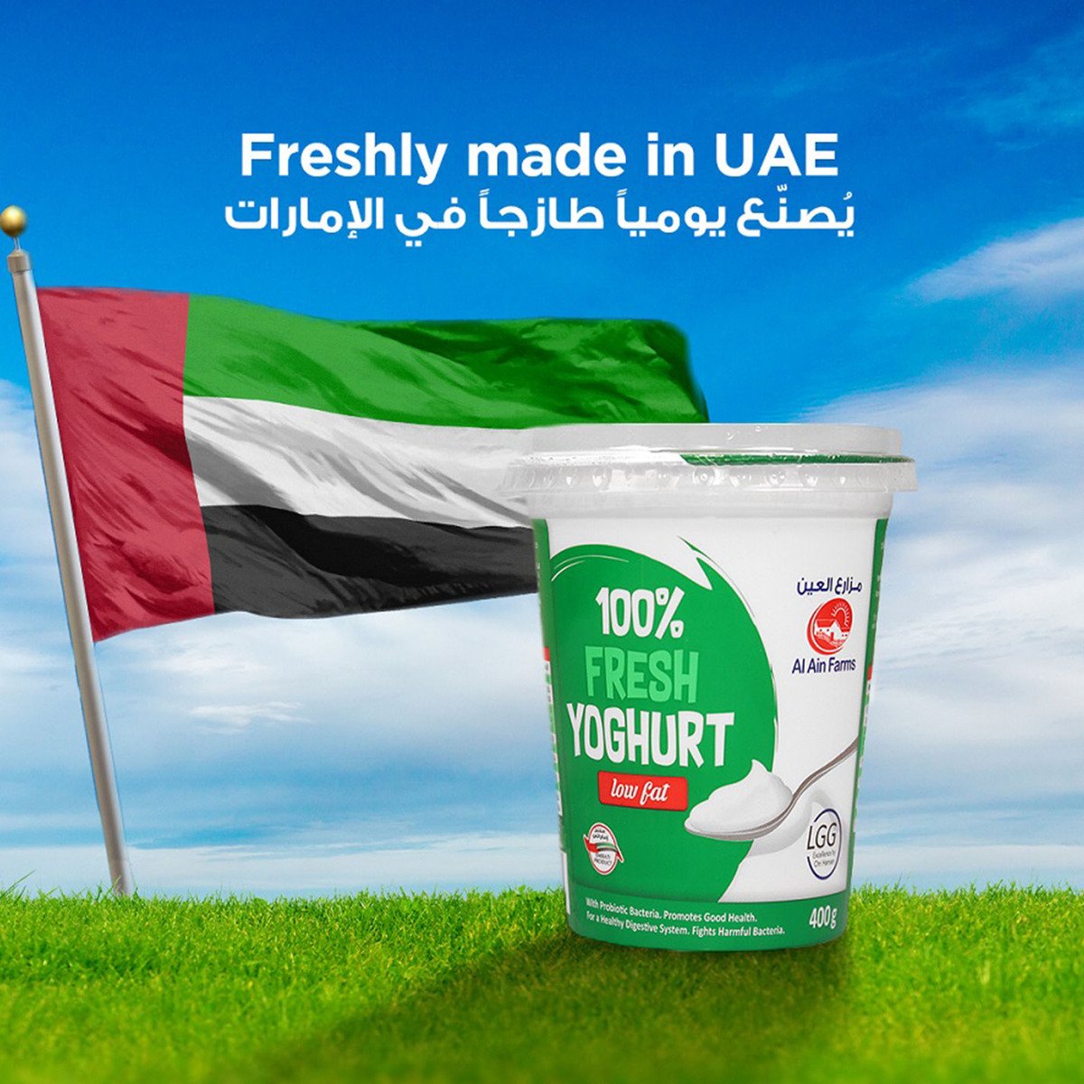 Al Ain Fresh Low Fat Yoghurt 400 g
