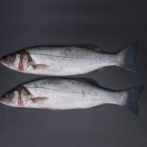 Farmed Sea Bass 1 kg