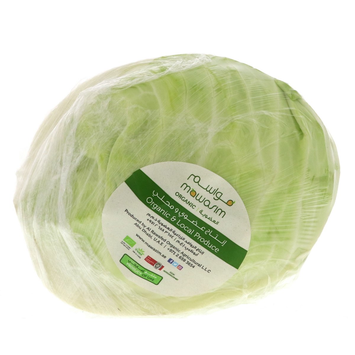 Organic White Cabbage UAE 2 kg