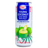 Ice Cool Young Coconut Juicy Drink With Pulp 500 ml
