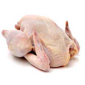 Ayam Frozen 900-1000g