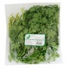 English Parsley 80g Approx. Weight