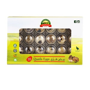 Al Bustan Quail Eggs 18 pcs