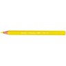 Bic Kids Color Pencil Evolution Triangle 188 12's