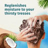 Herbal Essences Hello Hydration Moisturizing Shampoo with Coconut Essences, 400 ml