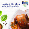 Al Khazna Fresh Whole Chicken 1.1 kg